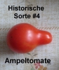 Tomate_Historische_Sorte_04_Ampeltomate_20100919_www_chilico_de_4140.jpg
